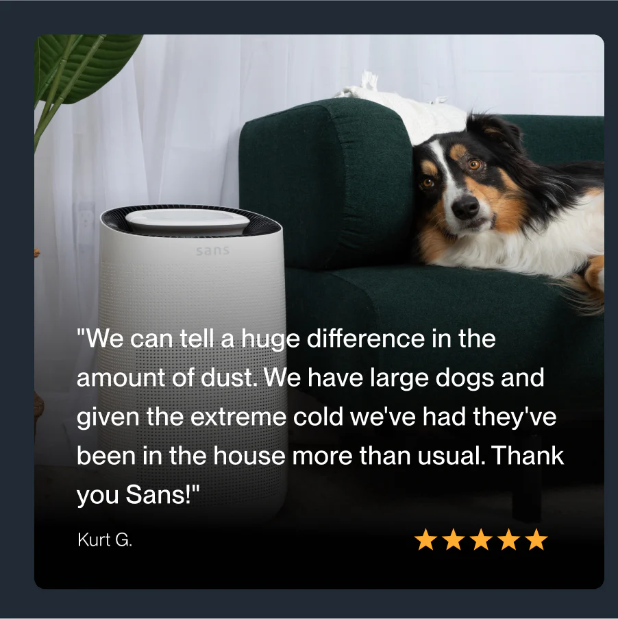 Bundle: The Healthy Home Bundle - Image 9